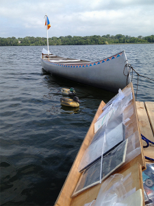 Los libros de la biblioteca flotante de Cedar Lake están protegidos