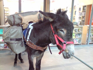 El burro Babel cargado de libros