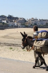 Marc Roger y su burro Babel recorren los caminos