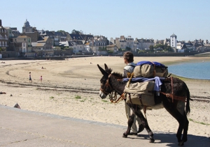 Marc Roger y su burro Babel recorren los caminos