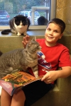 Un niño disfruta de la iniciativa de leer a los gatos