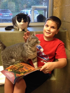 Un niño disfruta de la iniciativa de leer a los gatos