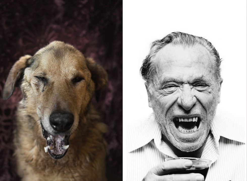 Charles Bukowski y el perro con el que guarda similitud