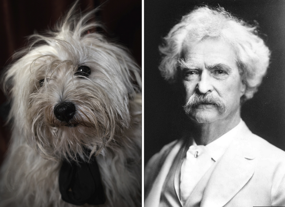 Mark Twain y su doble perruno