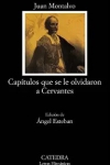 Los capítulos que se le olvidaron a Cervantes, novela inspirada en don Quijote